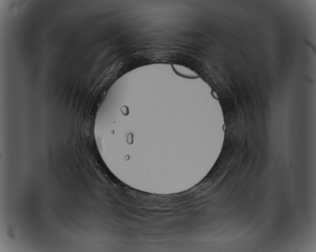 X0000097510044200803201625