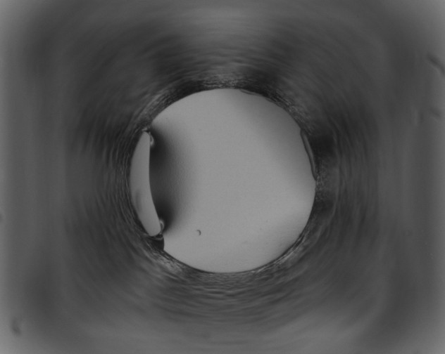 X0000097510045200803201625