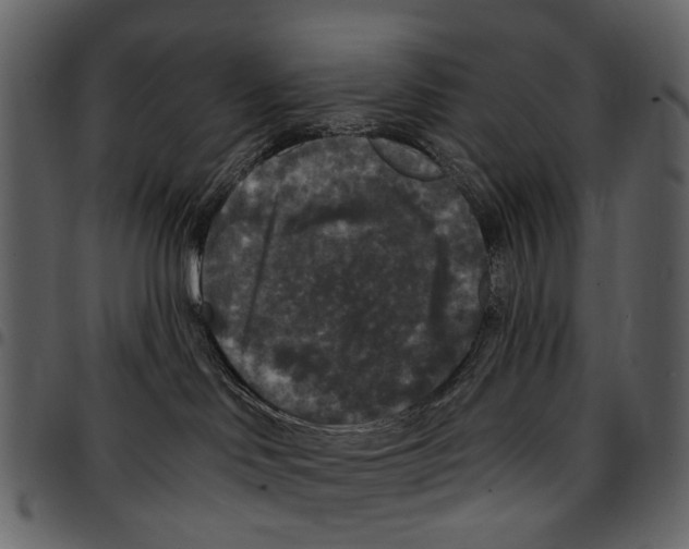 X0000097510046200803201625