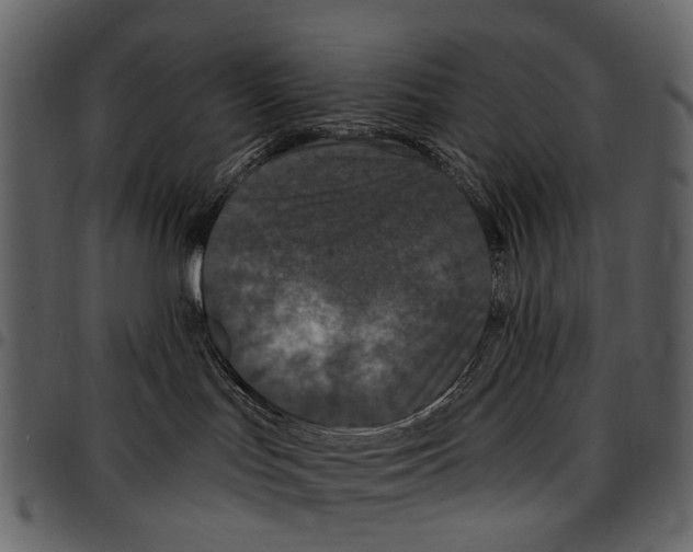 X0000097510047200803201625