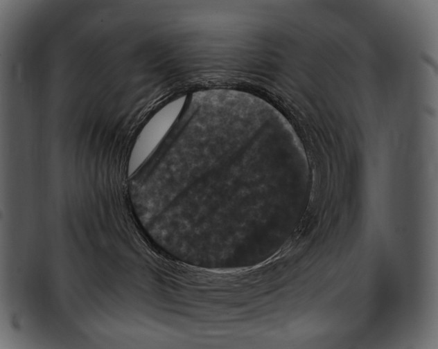 X0000097510048200803201625