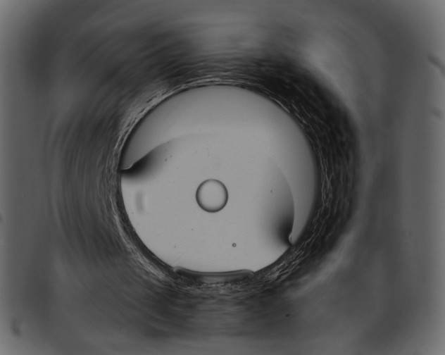 X0000097510049200803201624