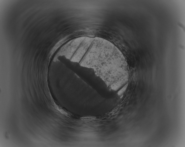 X0000097510051200803201624