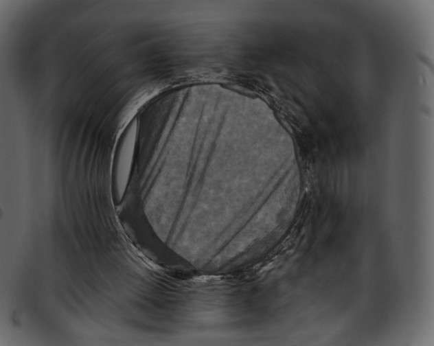 X0000097510052200803201624