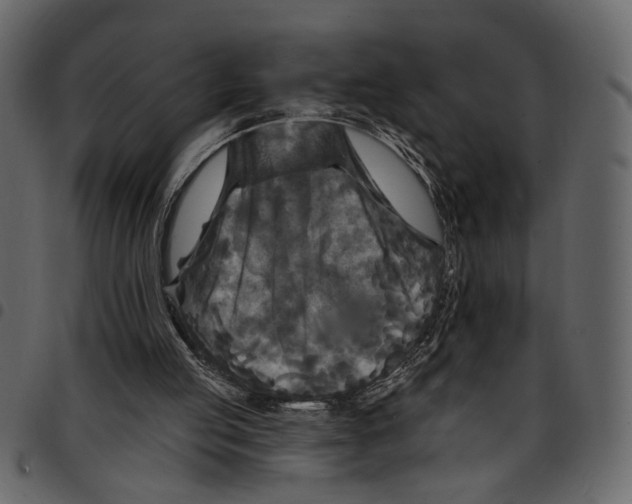 X0000097510053200803201624