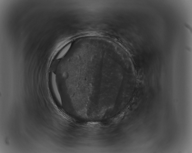 X0000097510055200803201624