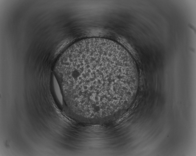 X0000097510058200803201624