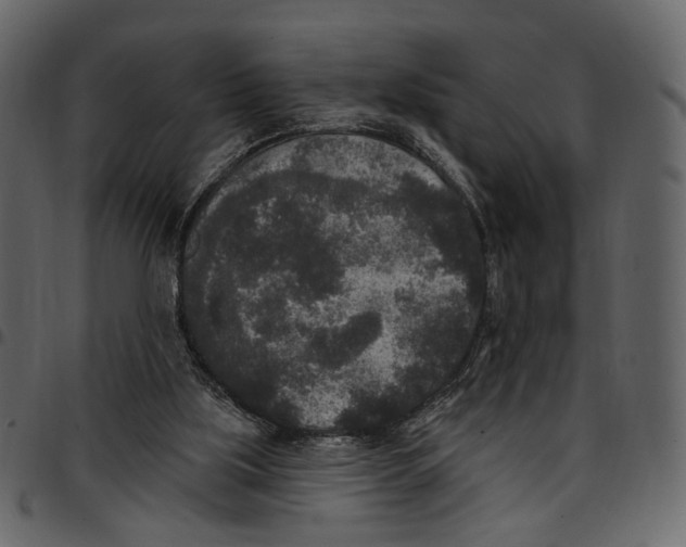 X0000097510059200803201624