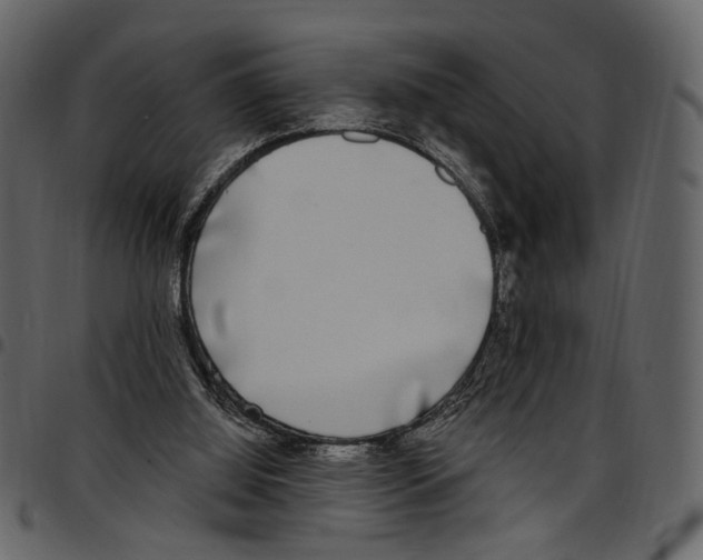 X0000097510060200803201624