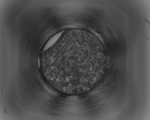 X0000097510061200803201624