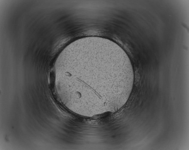 X0000097510062200803201624