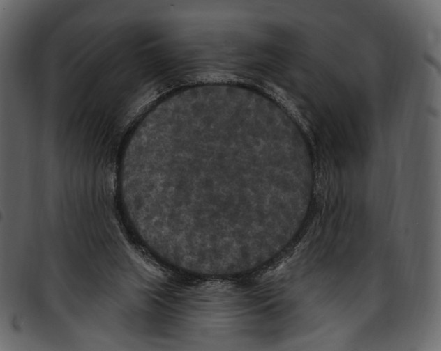 X0000097510063200803201624