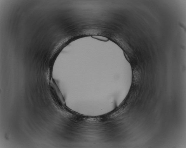 X0000097510064200803201624