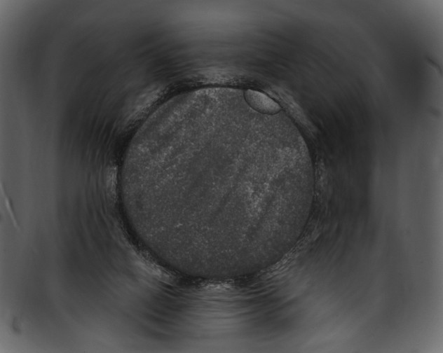 X0000097510066200803201624