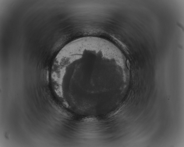 X0000097510067200803201624
