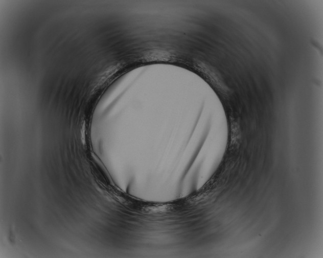 X0000097510068200803201624