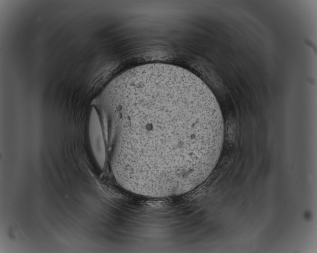X0000097510070200803201624