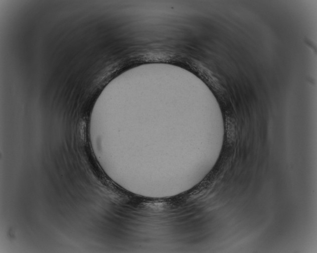 X0000097510071200803201624