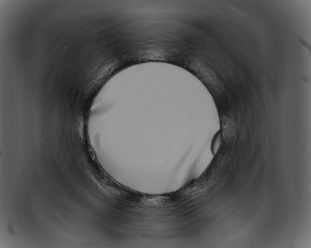X0000097510072200803201624
