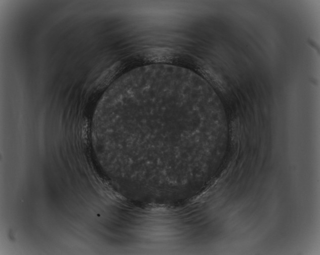 X0000097510073200803201624