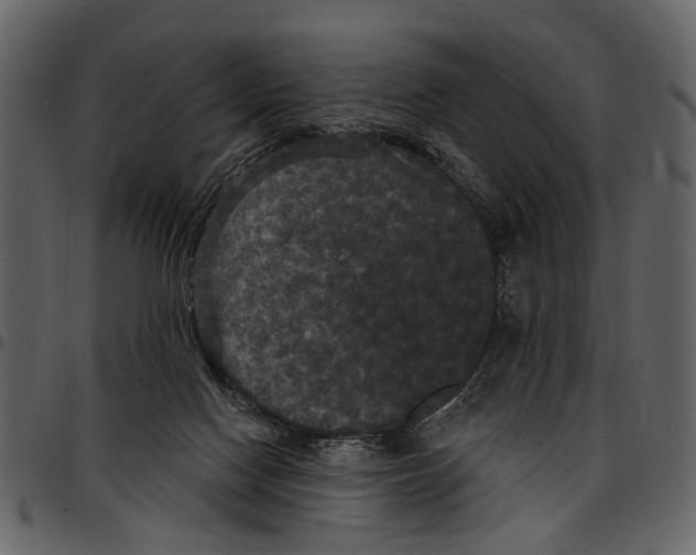 X0000097510074200803201624