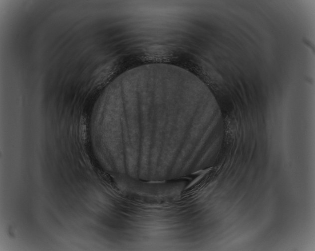 X0000097510080200803201624