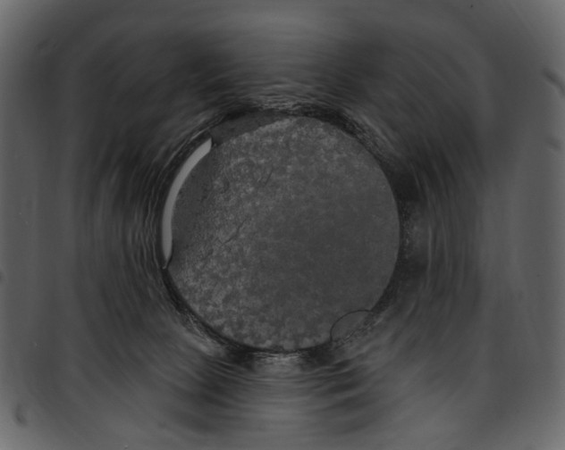 X0000097510081200803201625