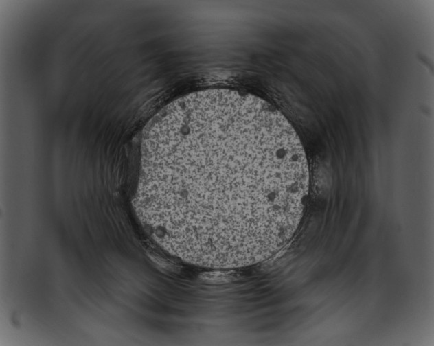 X0000097510082200803201625