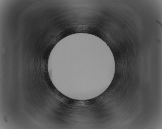 X0000097510083200803201625
