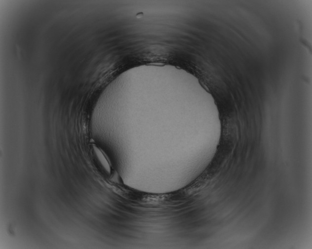 X0000097510084200803201625