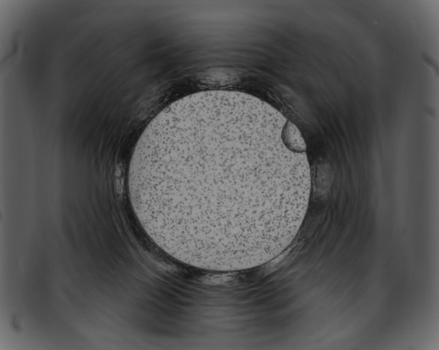 X0000097510086200803201625
