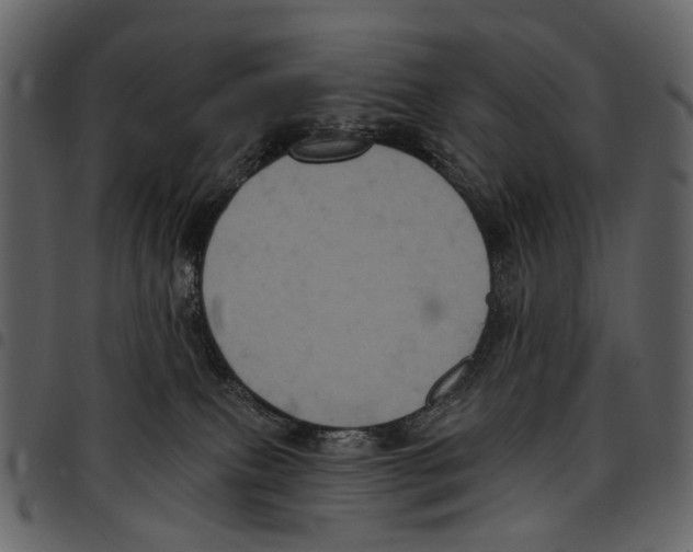 X0000097510087200803201625