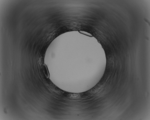 X0000097510088200803201625