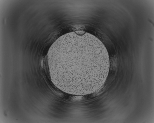 X0000097510090200803201625