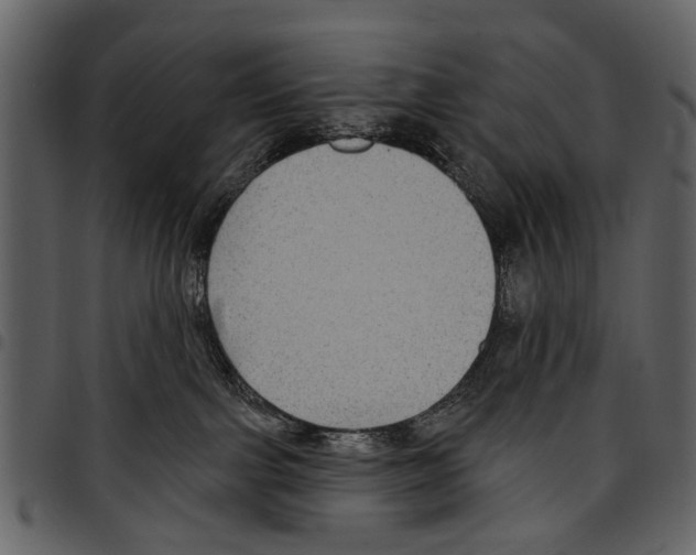 X0000097510091200803201625