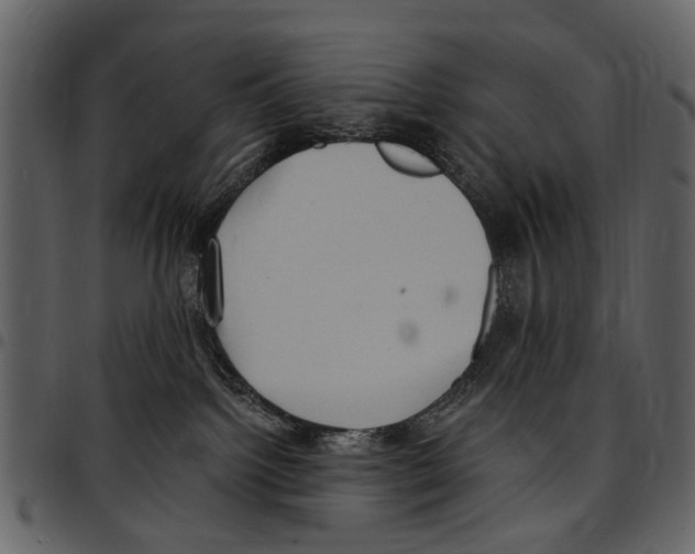 X0000097510092200803201625