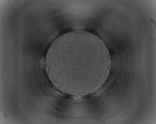 X0000097510093200803201625