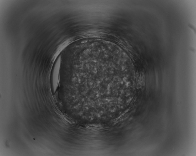 X0000097510099200803201624