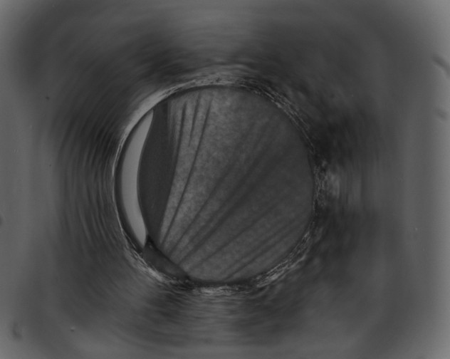 X0000097510100200803201624