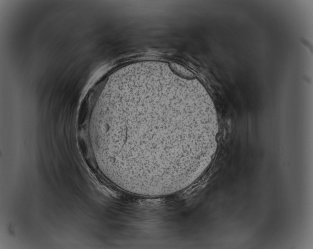 X0000097510102200803201624