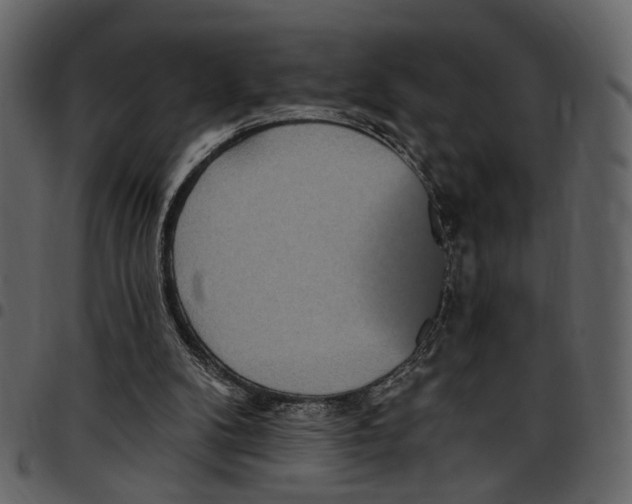 X0000097510104200803201624