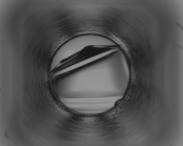 X0000097510105200803201624