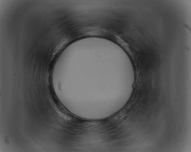 X0000097510106200803201624