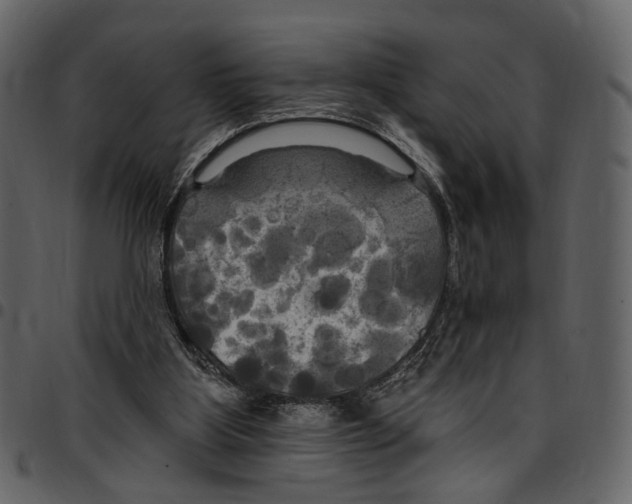 X0000097510107200803201624