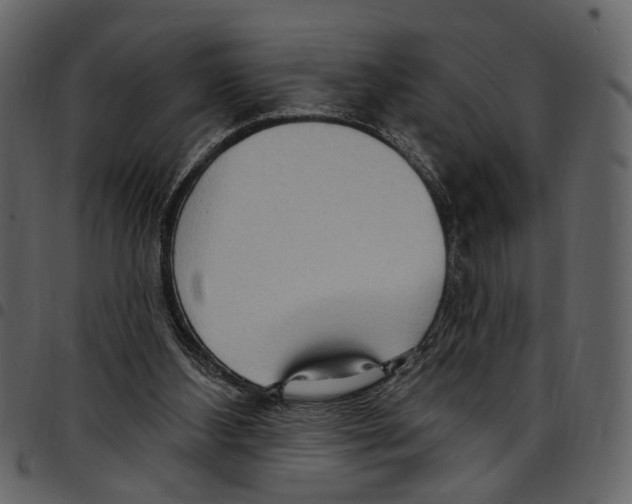 X0000097510108200803201624