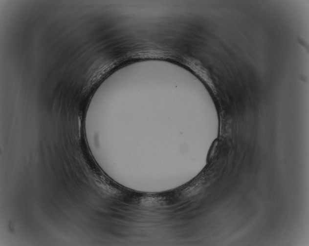 X0000097510109200803201624