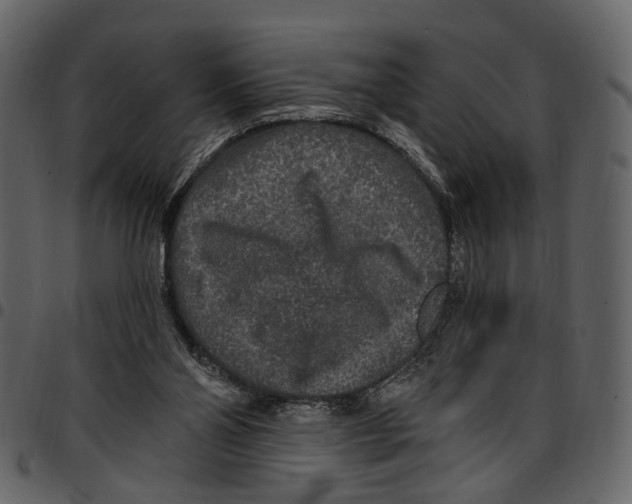 X0000097510110200803201624