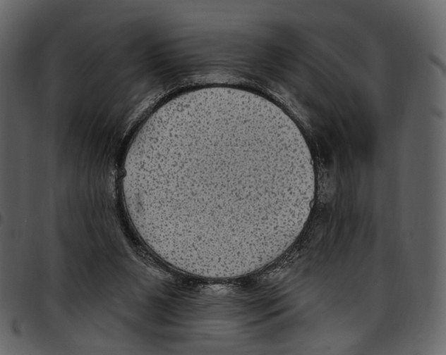 X0000097510111200803201624