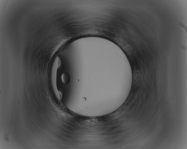X0000097510112200803201624