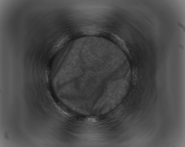 X0000097510114200803201624